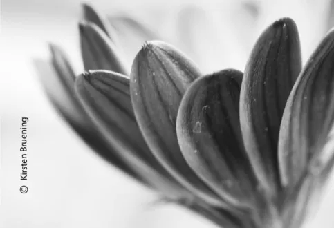 It’s Just an Illusion by Kirsten Bruening