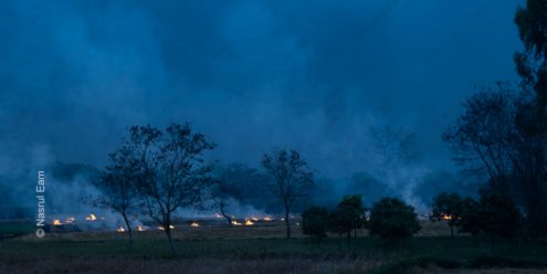 Fires Across the Twilight Fields