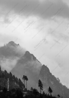 Misty Mountain Sentinel