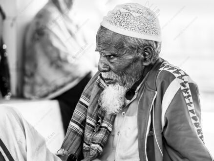 Lines of Wisdom