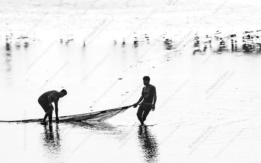 Shared Effort on Shimmering Waters