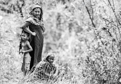 Generations: A Glimpse of Enduring Spirit in the Wild Grass