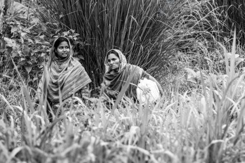 Two Figures Amidst the Tall Grasses