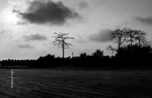 Stark Forms on the Shore Under a Dramatic Sky