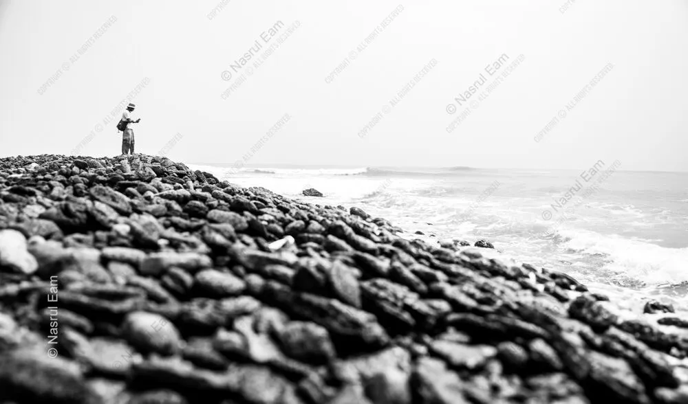 Coastal Contemplation