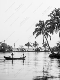 A Silent Passage Through Tropical Waters