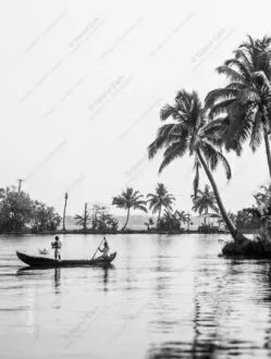 A Silent Passage Through Tropical Waters