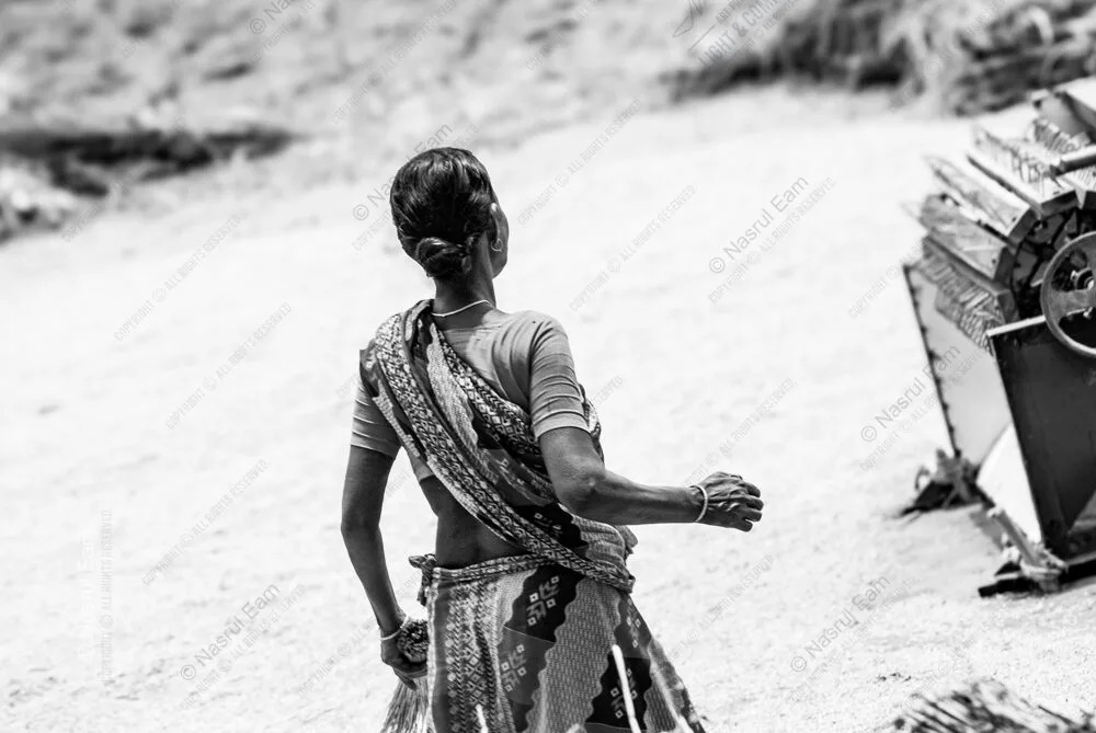 Woman in Patterned Saree Beside the Thresher