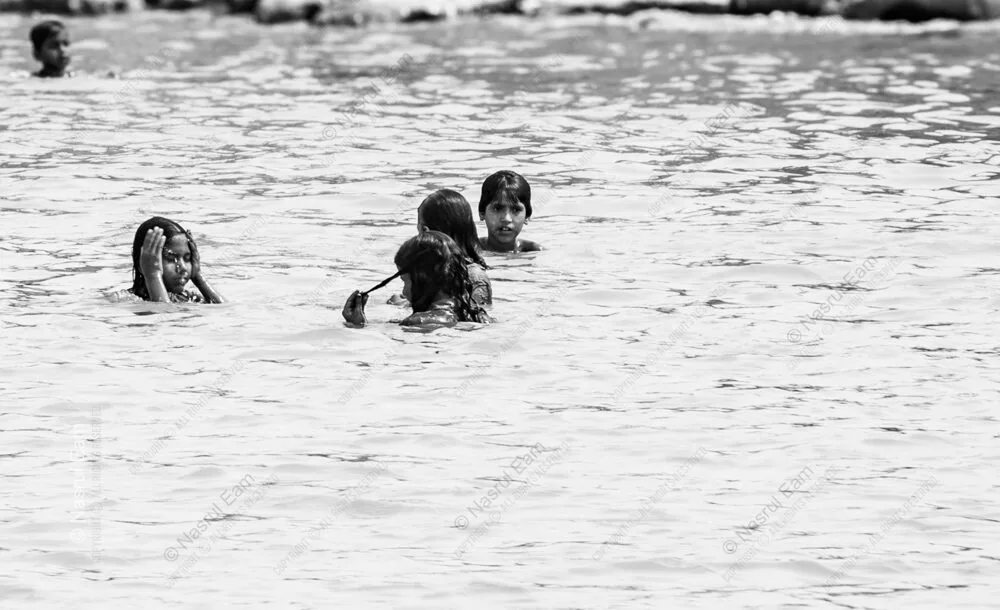 Four Heads Above the Pale Ripples