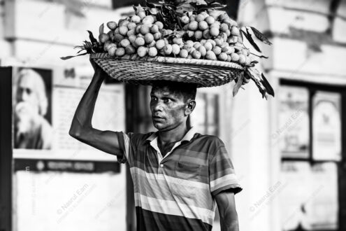 Lychee Basket Above the Head