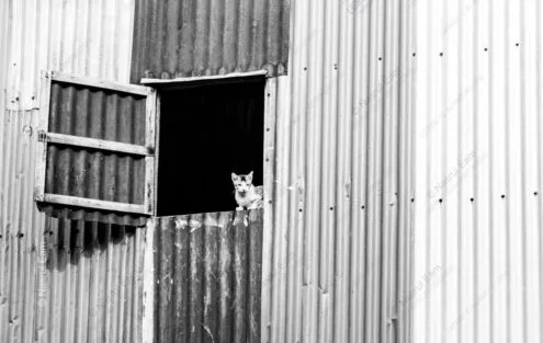 A Gaze from the Corrugated Wall