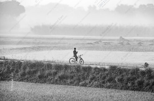 Bicyclist in the Mist