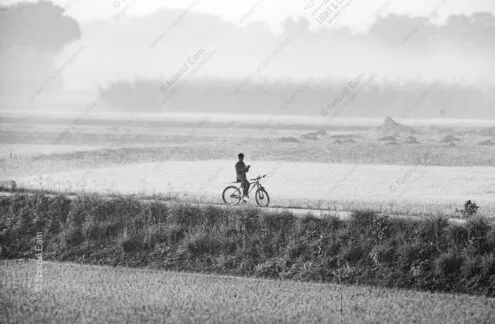 Bicyclist in the Mist