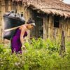 Love with an Indigenous Girl by Javed Miandad
