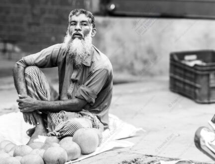 Seated Merchant, White Beard, Striped Trousers