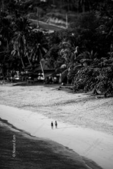 The Narrow Crossing