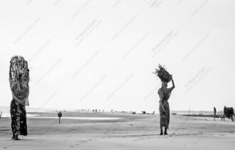 Bundles of Firewood on the Open Sand - Bundles of Firewood on the Open Sand, minimalist fine art photography, monochrome landscape print, Nasrul