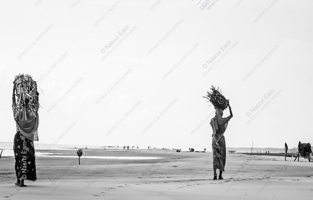 Bundles of Firewood on the Open Sand - Bundles of Firewood on the Open Sand, minimalist fine art photography, monochrome landscape print, Nasrul