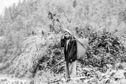 Young Carrier on the Mountain Path