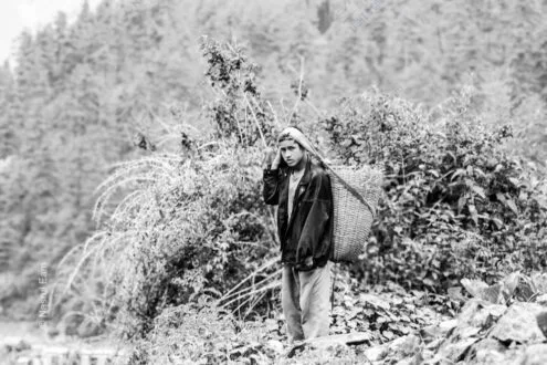 Young Carrier on the Mountain Path