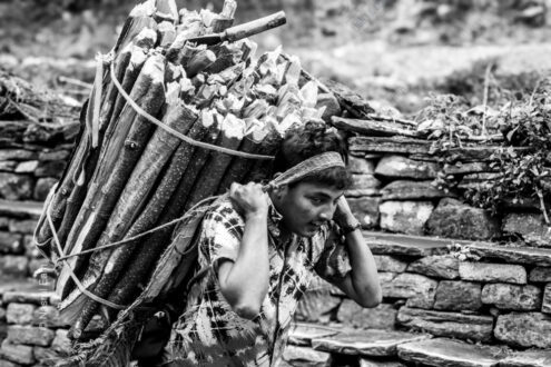 Bundled Timber and Bent Shoulders
