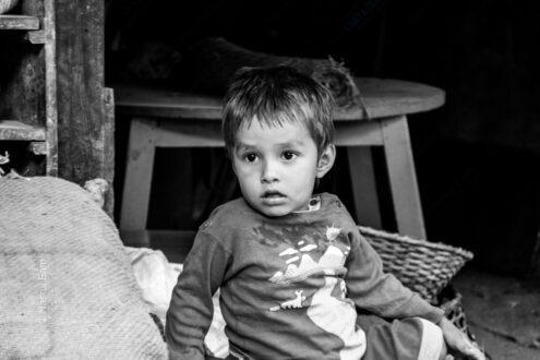 Young Face in Shadowed Hearth