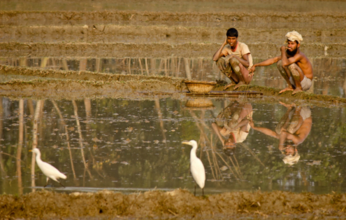 A Moment of Leisure by Shahnaz Parvin - Photojournalism, Photography, Art Photography, Photo of the Day, Light & Composition University
