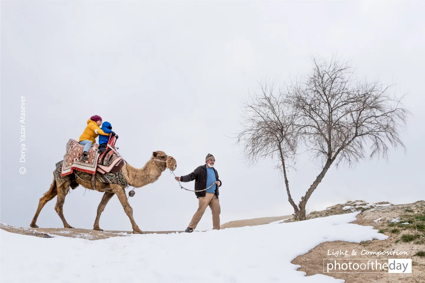 Photo of the Month | 2023 | December