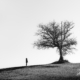 Alone and Far Away by Giampaolo Antoni