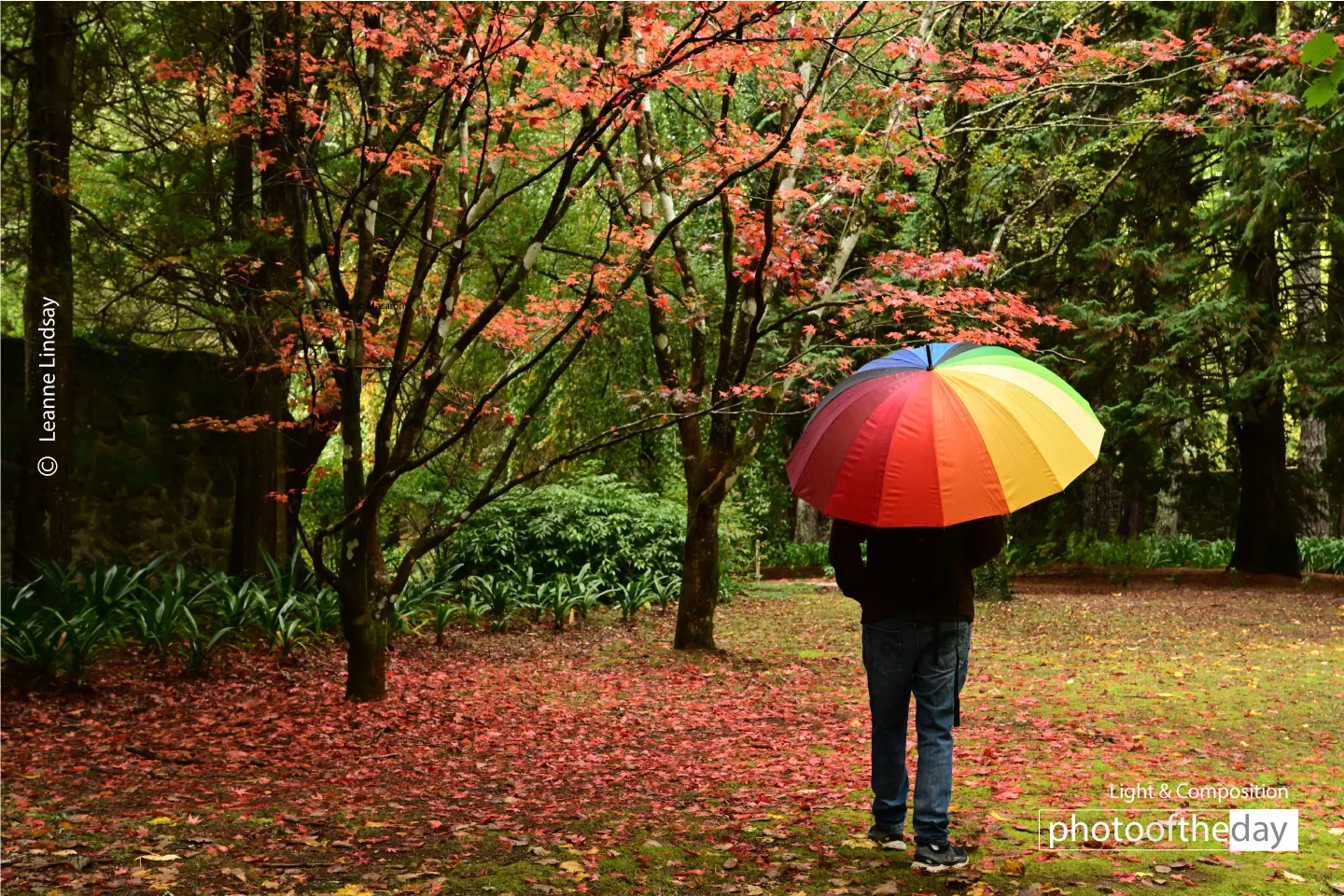Breenhold Gardens: Capturing the Colors of Autumn by Leanne Lindsay