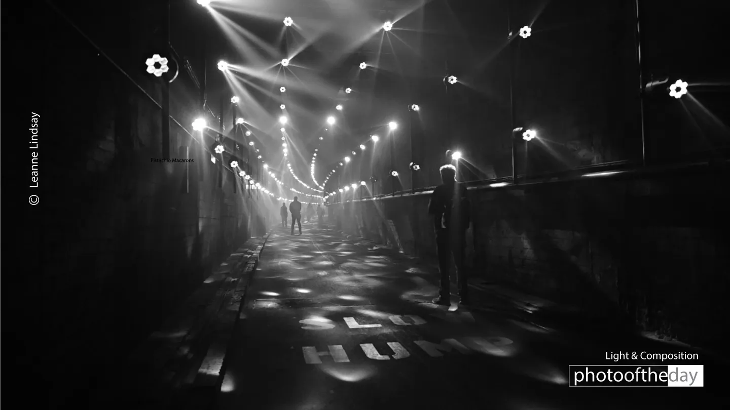 Photo of the Month | 2023 | October