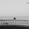 Crows Again by Ilyas Yilmaz - Art Photography, Photo of the Day, Photography Awards, Online Photography Courses, Ilyas Yilmaz