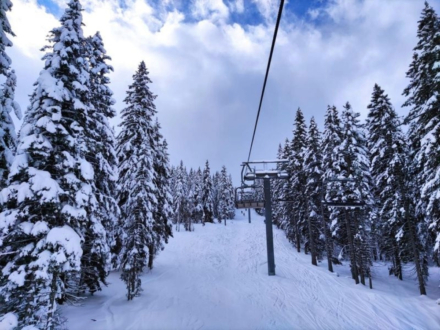 Skiing by Giulia Avona - Nature Photography, Photo of the Day, Photography Awards, Art Photography, Winter Photography