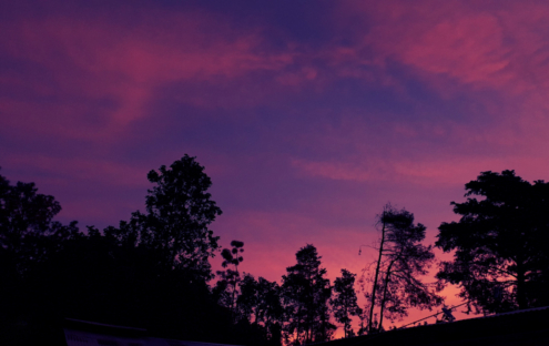 Dawn of Life by Rosa Pérez - Sunrise Photography, Photography Awards, Photo of the Day, Art Photography, Rosa Pérez