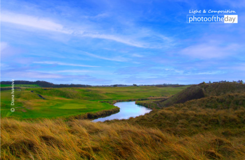 Day for Walk by Diana Ivanova - Landscape Photography, Photo of the Day, Photography Awards, Online Photography Courses, Art Photography