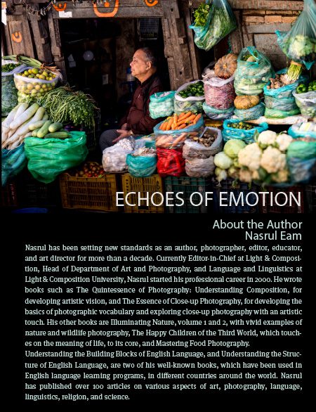 Echoes of Emotion back cover