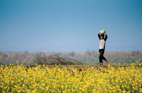 Food for His Father by Shahnaz Parvin - Photojournalism, Documentary Photography, Award-Winning Photography, Online Photography Courses, Light & Composition University