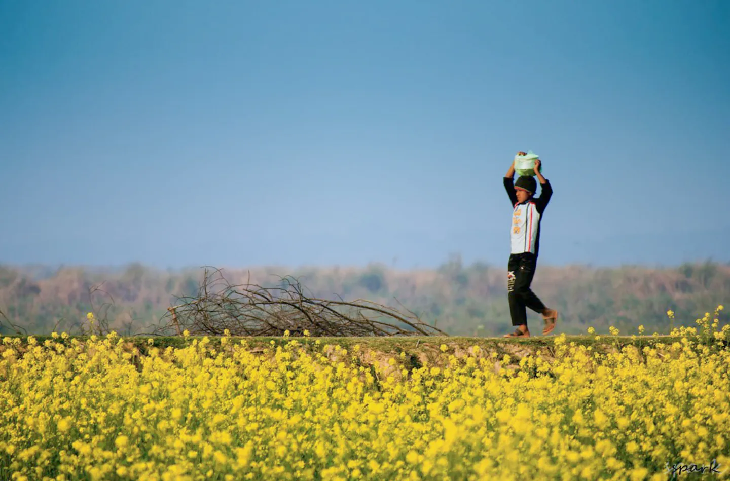 Food for His Father by Shahnaz Parvin - Photojournalism, Documentary Photography, Award-Winning Photography, Online Photography Courses, Light & Composition University