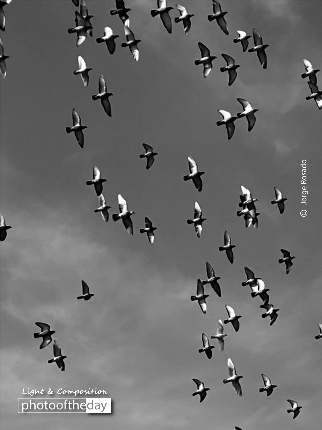 Forward as One by Jorge Rosado