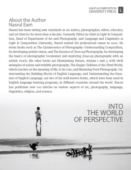 Into the World of Perspective