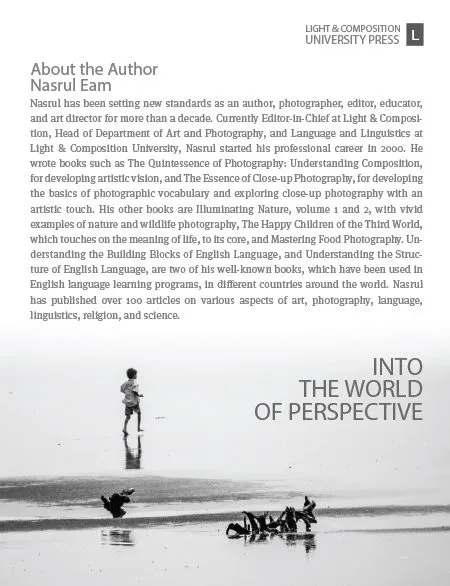 Into the World of Perspective