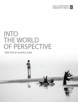 Into the World of Perspective