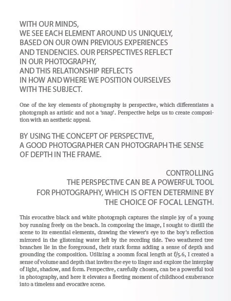 Into the World of Perspective