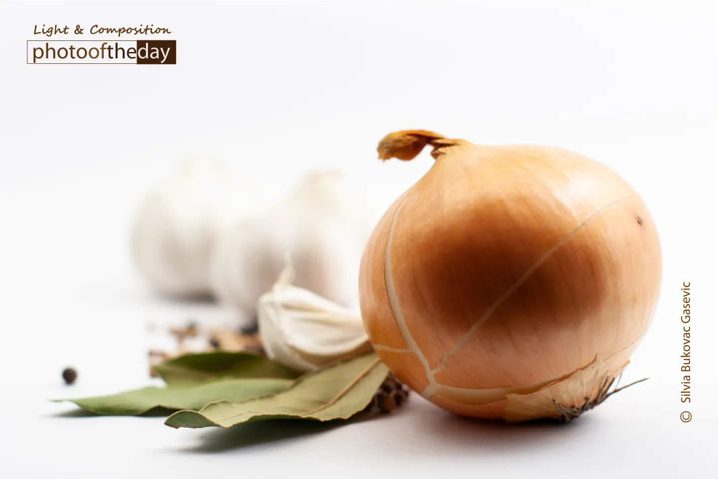 It’s Just an Onion by Silvia Bukovac Gasevic