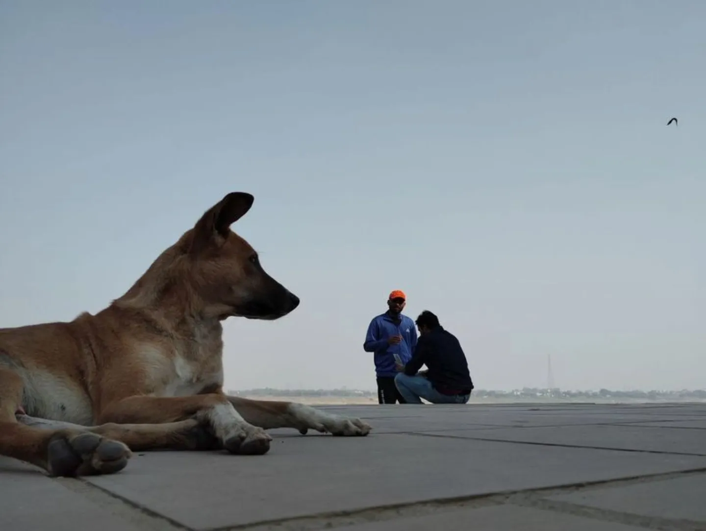 A Perspectives by Aman Raj Sharma - Photo of the Day, Photography Awards, Art Photography, Photojournalism, Online Photography Courses