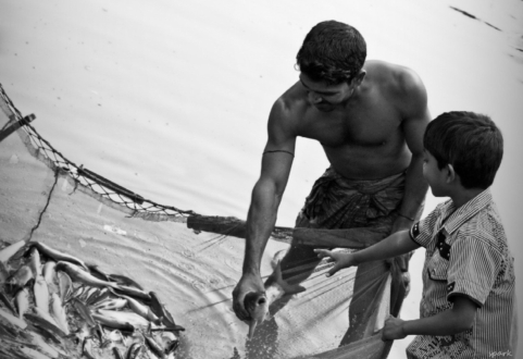 Let Me Touch the Fish by Shahnaz Parvin - Photojournalism, Photography Award, Photo of the Day, Art Photography, Online Photography Courses