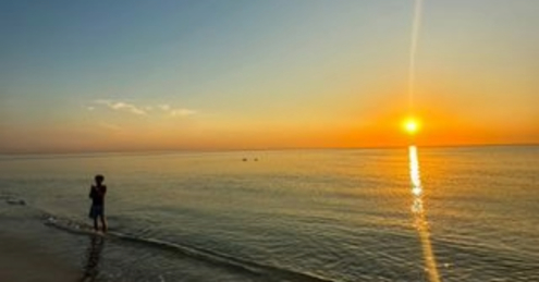 Peace by Baris Tezcan