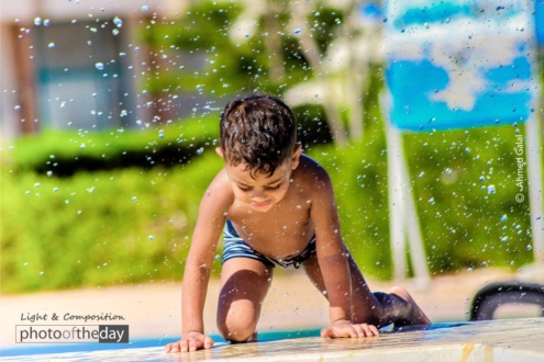 Delicious Cheese Cake by Ahmed Galal - Food Photography, Award Winning Photography, Photography Awards, Light & Composition University, Photo of the Day