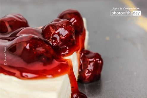 Delicious Cheese Cake by Ahmed Galal - Food Photography, Award Winning Photography, Photography Awards, Light & Composition University, Photo of the Day