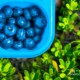 Colorful Breakfast Break by Zara Otaifah - Color Photography, Photo of the Day, Award Winning Photography, Photography Awards, Art Photography